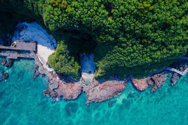 國外網(wǎng)友國際熱評_[大開眼界] 這個“主刀醫(yī)生”有點酷，一人完成一臺手術(shù)