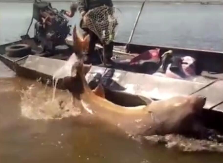 ddos設(shè)備哪家好_梅西大戰(zhàn)穆勒??美職聯(lián)總決賽:12月7日3點(diǎn)30邁阿密國際主場vs溫哥華白浪