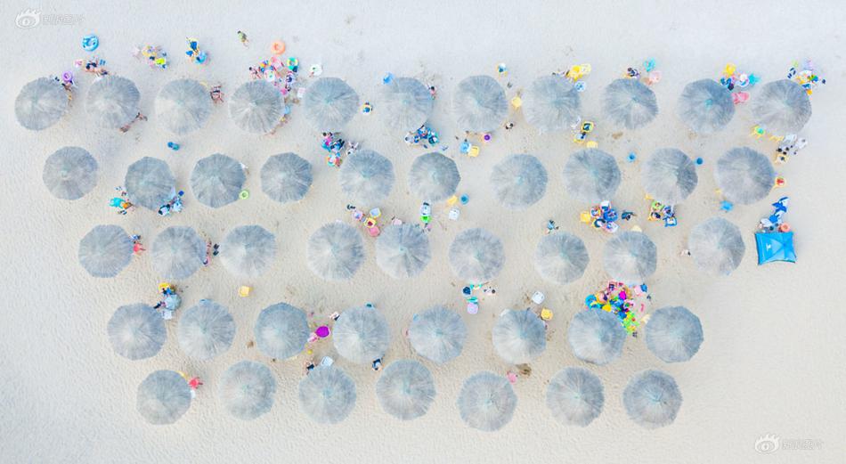 肉雞檢測(cè)軟件_政治局會(huì)議釋放的七大信號(hào)