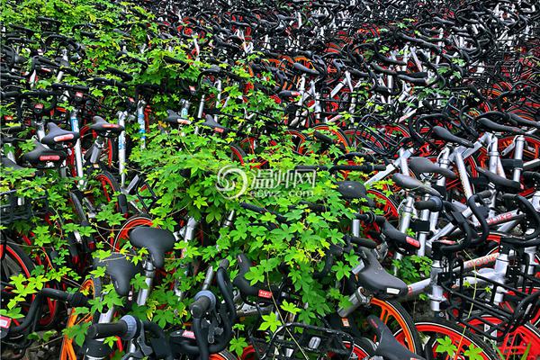 中國女博士生和女兒遭外籍丈夫殺害