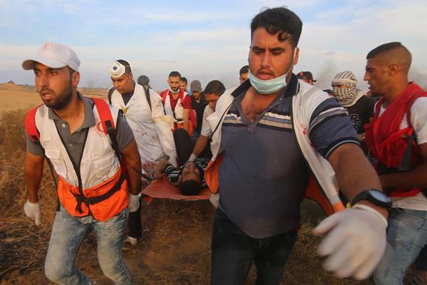 如果有人叫你下載微信聊天記錄是想看_機(jī)器人產(chǎn)業(yè)加速量產(chǎn) 靠數(shù)據(jù)飛輪闖關(guān)真實(shí)世界