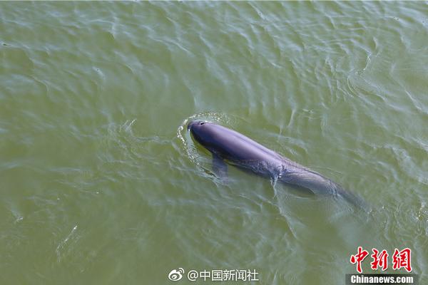 支付寶當(dāng)面付怎么配置到網(wǎng)站上面_前10個(gè)月規(guī)模以上輕工企業(yè)實(shí)現(xiàn)營收19萬億元