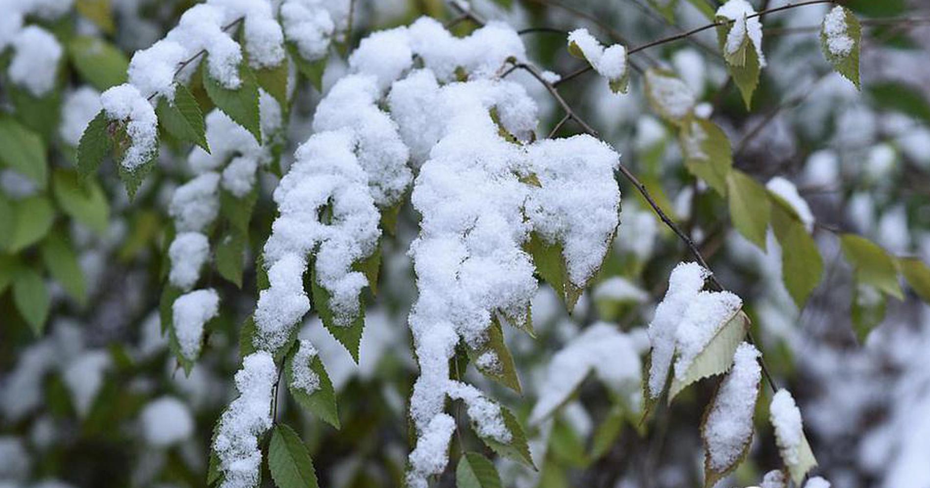 谷歌重磅發(fā)布會來襲，5只概念股有望大幅增長