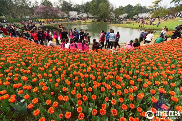 excell如何批量查找公司名稱并顯示_妻子酒后致電男閨蜜告白，次日男閨蜜床邊相伴，丈夫僅留紙條離去