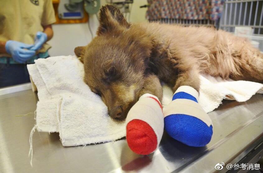 如何將德育教育滲透到課堂教學(xué)的各個方面_碰瓷遼寧艦錄音公布 日本遭狠打臉