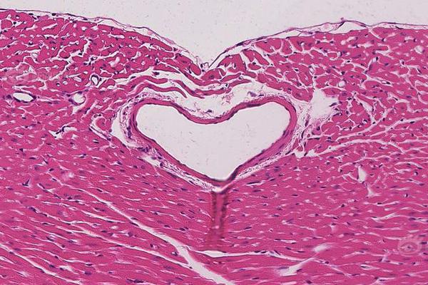 如何解除短信攔截功能_智駕面臨的挑戰(zhàn)：安全≠安全感，我們能做什么？