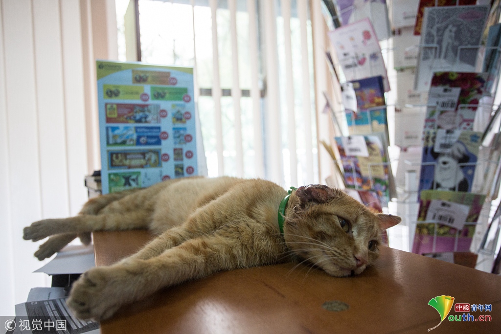 直播電商的效果評估及優(yōu)化實訓實踐_安全飛行破百萬小時 昆明航空斬獲民航飛行安全一星獎