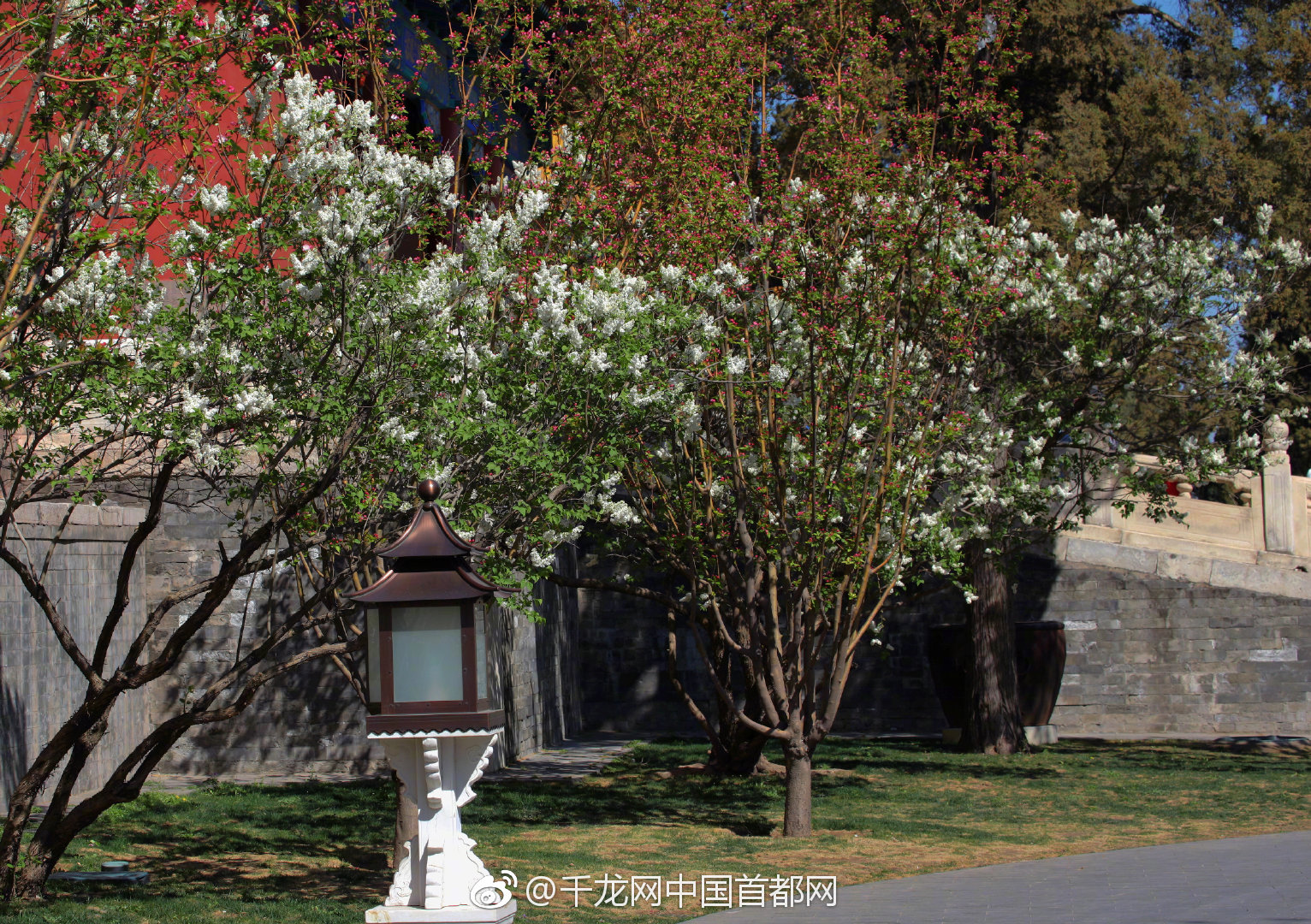 windows上的 ubuntu 虛擬機(jī)_南方也能玩冰雪？上海薈聚的圣誕玩法，解鎖冰雪經(jīng)濟(jì)本土化新答案