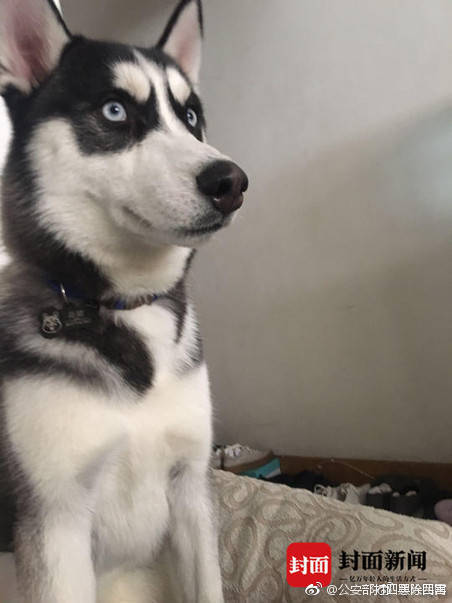 winshark抓微信ip_習(xí)近平綠色箴言妙喻美麗中國(guó)