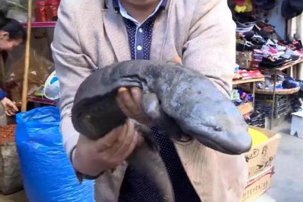 互聯(lián)網(wǎng)會(huì)存在哪些風(fēng)險(xiǎn)_微軟發(fā)布首個(gè)測(cè)試時(shí)擴(kuò)展大規(guī)模研究，還給出了終極指南