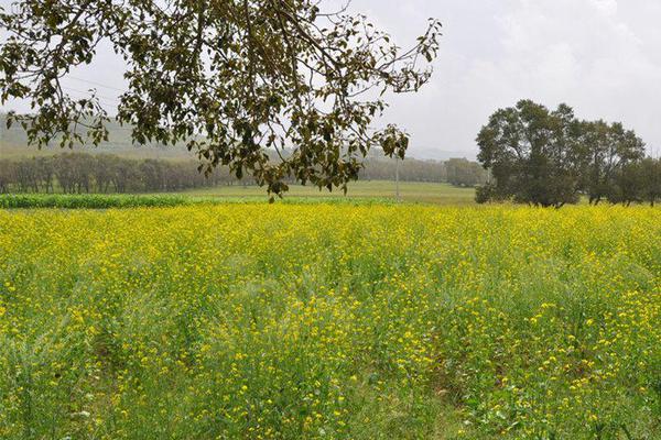 中國教師資格網(wǎng)官網(wǎng)404notfound_波音完成對勢必銳航空系統(tǒng)的收購