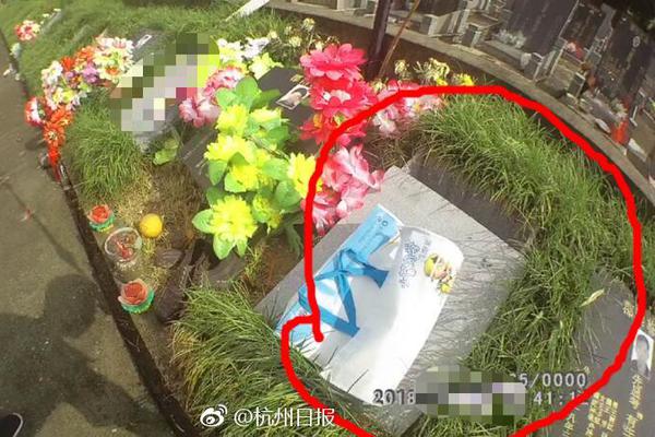 gmail郵箱登錄入口_從太陽能到地磁能，解碼零碳經濟發(fā)展新引擎