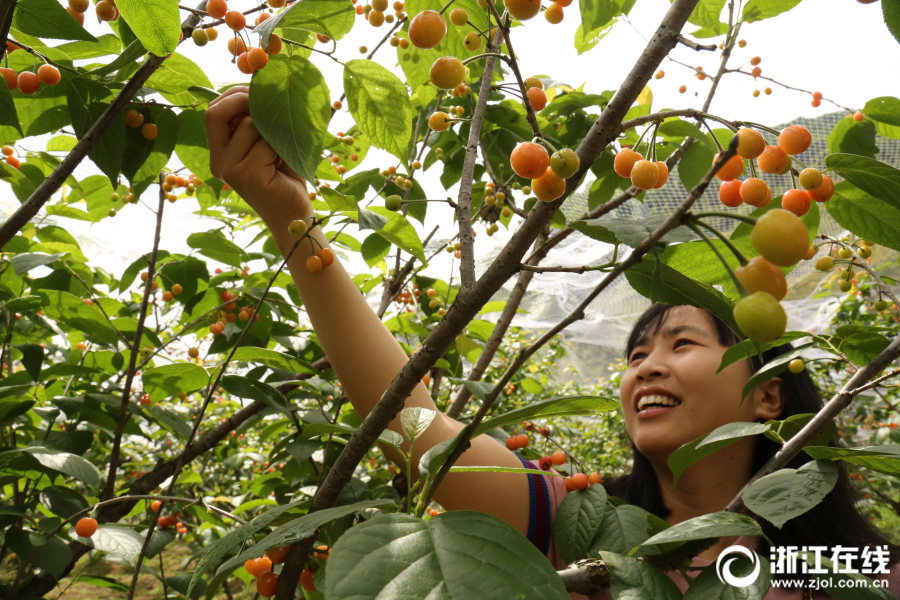 朱雀ai檢測(cè)官網(wǎng)_村民拆遷手握大量房票