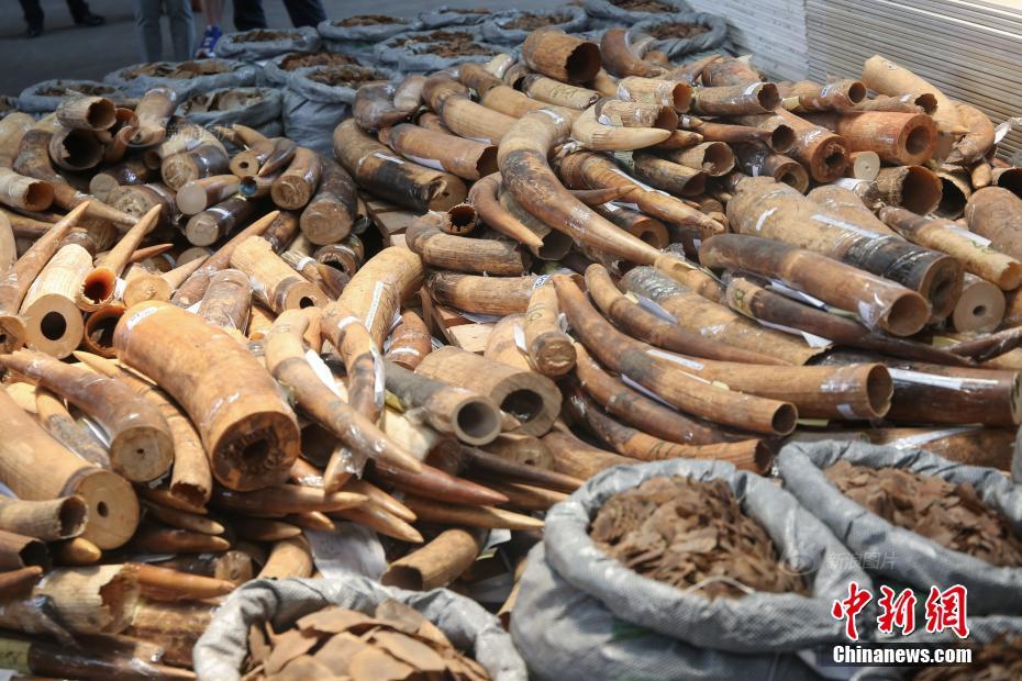 虛擬機安裝openwrt軟路由_中方：日方應(yīng)做的是認真反思糾錯 老實撤回錯誤言論