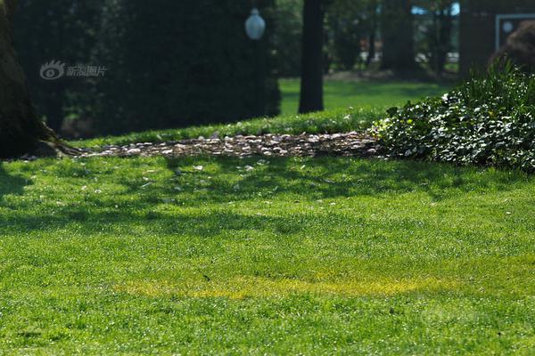 iis部署web項(xiàng)目流程_媒體人：阿奇姆彭很職業(yè)、不惹事，配得上在中超掙得每一分錢