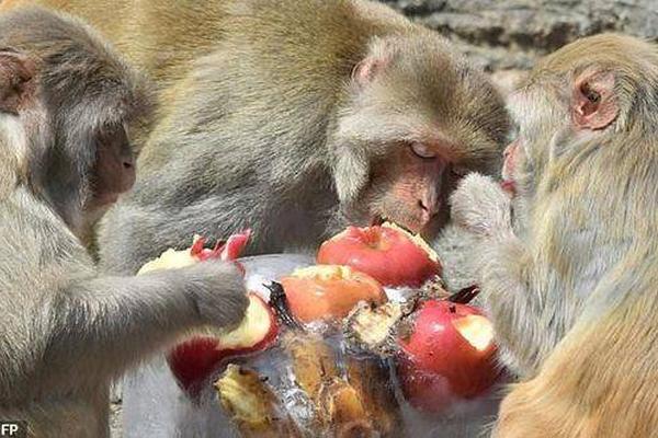 做任務(wù)賺傭金的平臺騙局_感覺時間越來越快不是錯覺