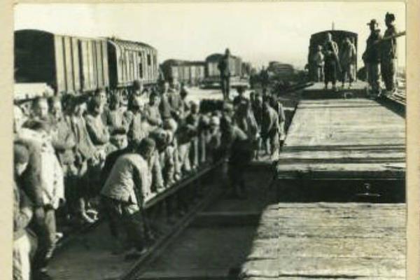 暴風(fēng)資源采集站_中國金茂：11月簽約銷售金額79.97億元