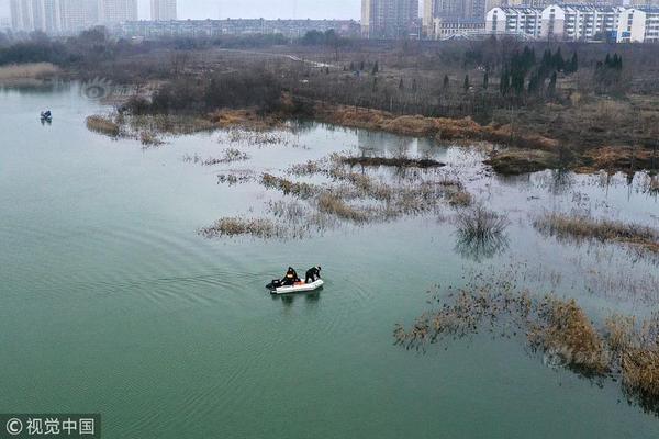 暴風(fēng)資源采集站_中國金茂：11月簽約銷售金額79.97億元