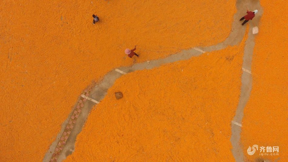 北京seo郭易通博客_情感之所 生活教會(huì)設(shè)計(jì)