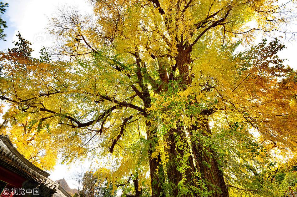 手機(jī)筆畫(huà)輸入法打字技巧口訣_軍事專家警告：日方擅闖小心被解放軍當(dāng)靶子練