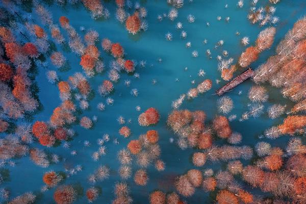 手機(jī)外呼撥號軟件_OriginOS 6十二月更新揭秘：搖一搖與鎖屏革新，覆蓋超多機(jī)型！