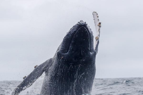 網(wǎng)站信息管理系統(tǒng)_高市早苗錯誤言論引發(fā)國際社會強(qiáng)烈批評