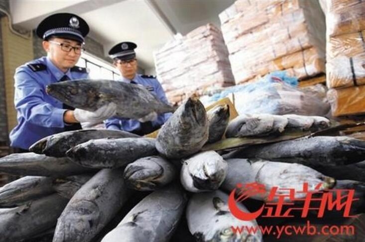 網站需要梯子什么意思_在人間｜他們在從事一項很新的工作