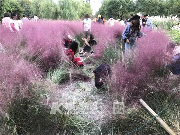 開網(wǎng)站如何掙錢_中超-王健林宣布萬達(dá)回歸足壇 塔利斯卡至少傷停10天