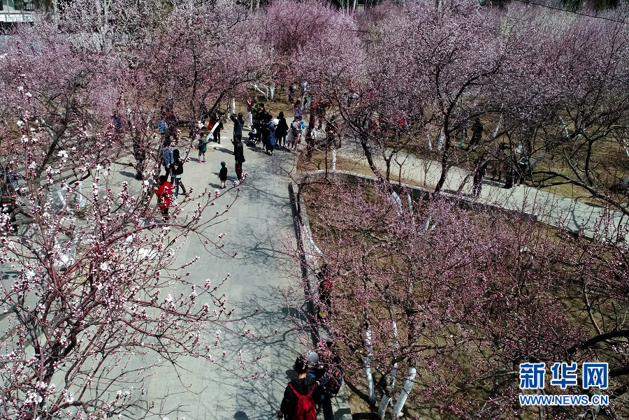 靠譜的運維監(jiān)控平臺_小米回應(yīng)“進軍AI教育”：人才招聘被誤讀 實為強化產(chǎn)品服務(wù)