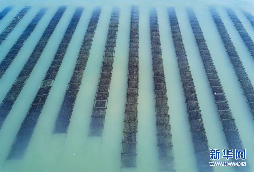 nasa中文官網(wǎng)入口_受賄超11億!白天輝被執(zhí)行死刑