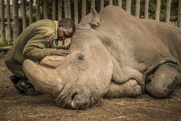 nmap操作步驟_回鄉(xiāng)探親帶了10個保鏢，進(jìn)村看到養(yǎng)父被鎖狗籠，村霸：你算老幾！