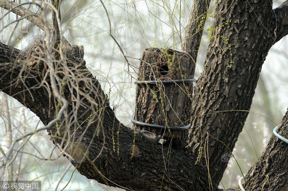 owsi3d滲透技術(shù)是什么_問界56789產(chǎn)品矩陣將補齊