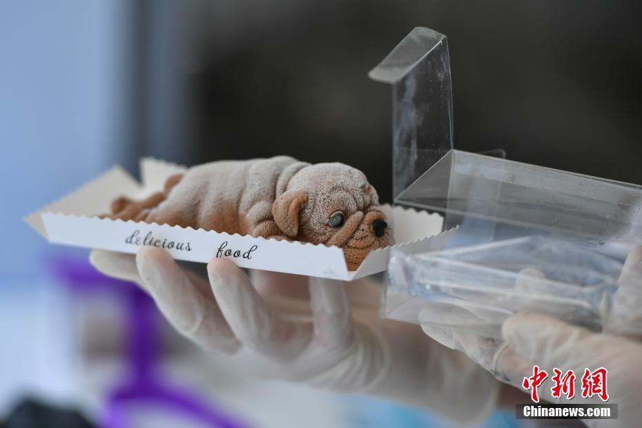 pvfutility修改工具中文版_北京卷王，卷出獨立行情