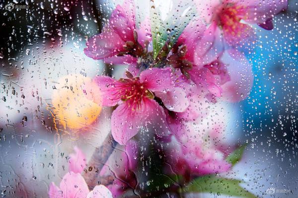 律師拉p2p受害人進(jìn)群說能幫討回錢_薪酬新規(guī)透視 |?嘉實(shí)歸凱在管189億規(guī)模6產(chǎn)品近三年