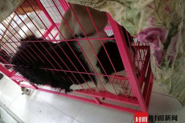 電商客服問顧客要真實(shí)號碼的話術(shù)_今年能源保供成效“十四五”以來最好