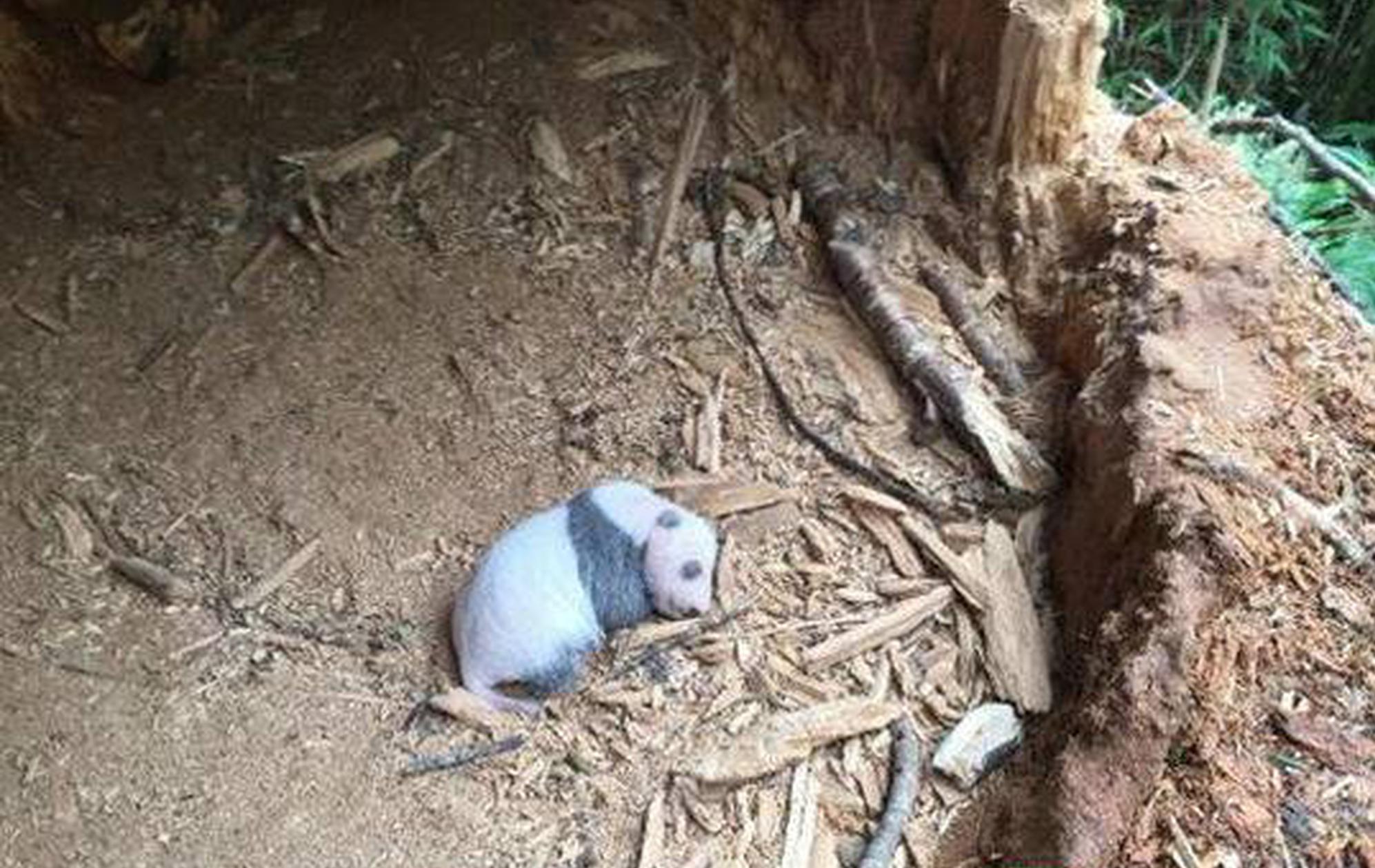 國際貨幣基金組織上調(diào)2025年中國經(jīng)濟增速預(yù)期