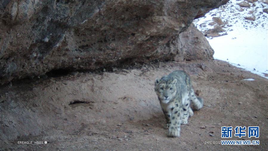 內(nèi)網(wǎng)映射和內(nèi)網(wǎng)穿透的區(qū)別_#郎平指導生日快樂# 今天是郎平指導的生日?? 國際奧委會官方微博