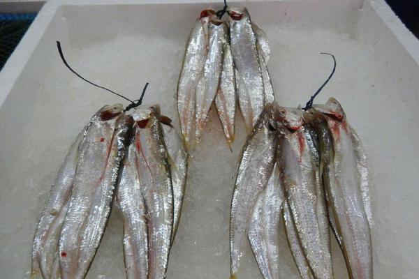 防篡改防重放防注入防滲透校驗出錯_豬豬俠之競球小英雄2突破瓶頸，開發(fā)新想法豬豬俠的球星成長之路