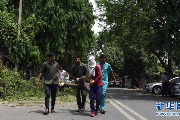 廣東汕頭火災(zāi)事故遇難人數(shù)升至12人