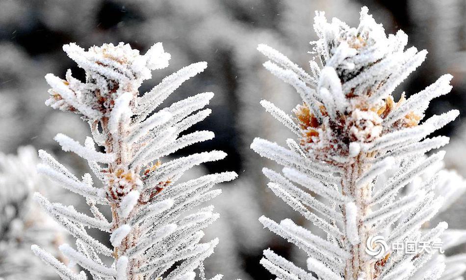 sql數(shù)據(jù)庫批量導(dǎo)入數(shù)據(jù)表_術(shù)士三系登頂，魔獸時光服首周MC輸出排行出爐！盜賊、狂暴戰(zhàn)加強