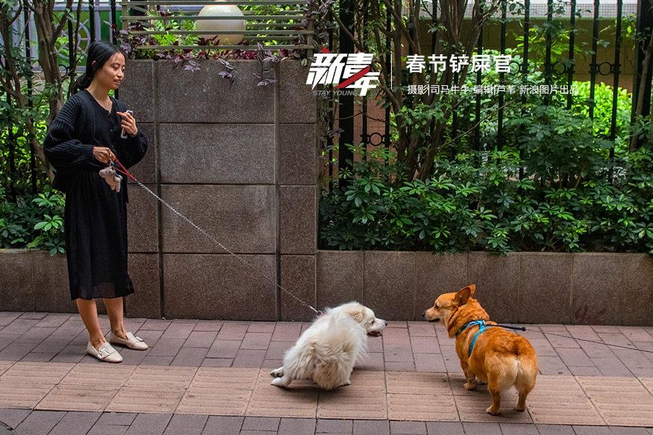 網(wǎng)頁請求的參數(shù)被加密了怎么解析_2026年總臺春晚主題、主標(biāo)識發(fā)布