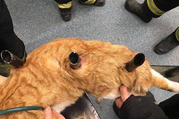 tongweb部署文件夾_黃金連漲超三年，國際清算銀行警示后會否迎拐點