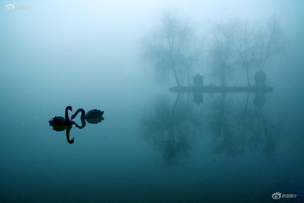 有什么網貸比較容易通過的_日本氣象廳:一周內或發(fā)生9級地震