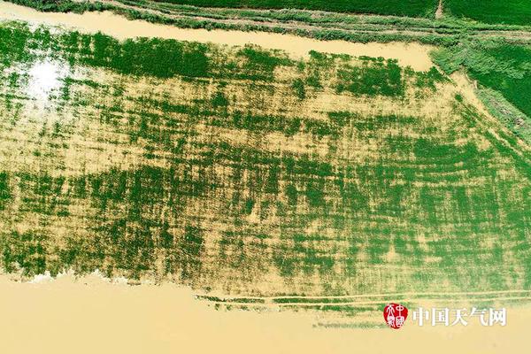 一手車(chē)和二手車(chē)的價(jià)格能差多少_【8點(diǎn)見(jiàn)】廣東汕頭一住宅發(fā)生火災(zāi)，致8死4傷