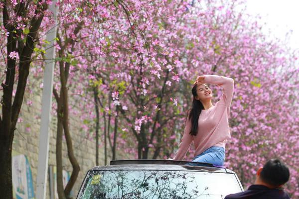 豫小?？萍加邢薰綺明年經(jīng)濟(jì)工作到底怎么做