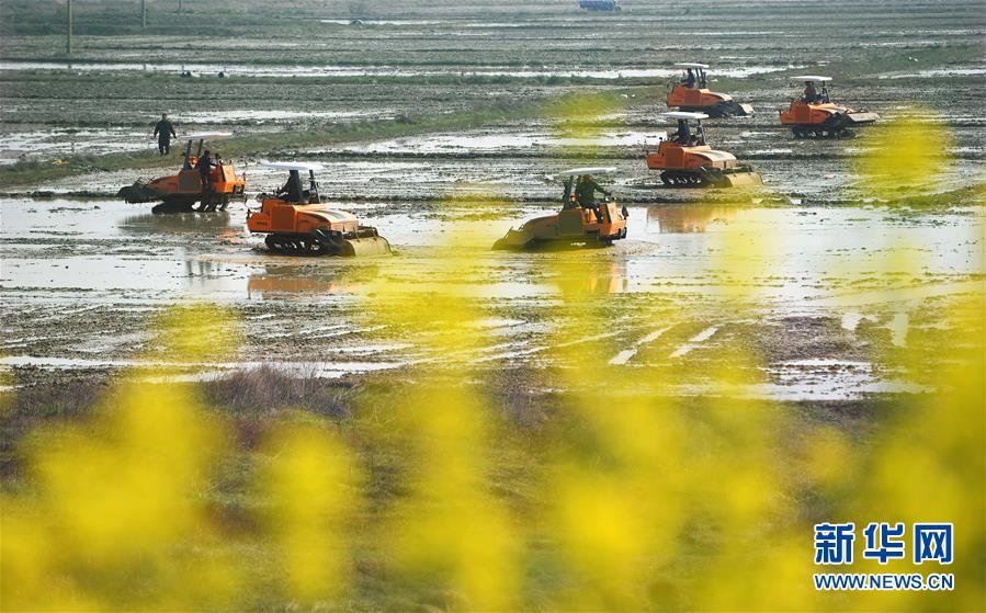 廣東一周暴發(fā)14起居家上網(wǎng)課_這樣的佩萊還需要輪換嗎？