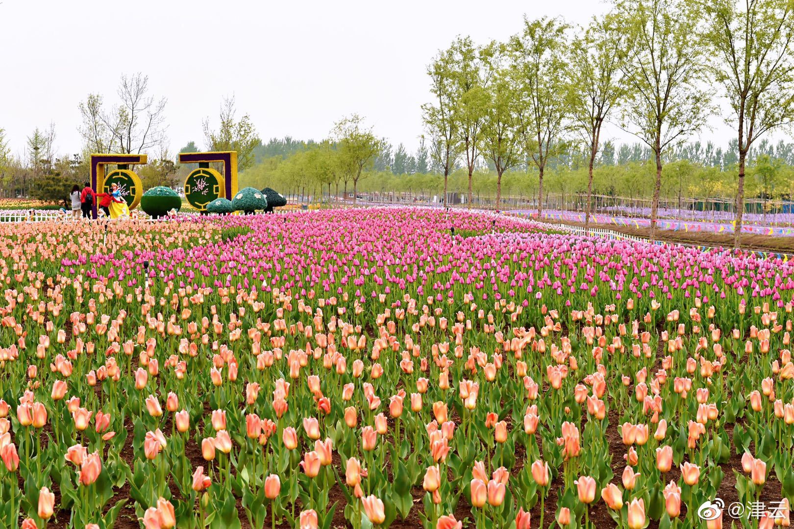 在家電腦瀏覽黃色頁面會被網(wǎng)警查到嗎_金融圈大清洗！嚴(yán)打黑中介，銀行“內(nèi)鬼”落馬！