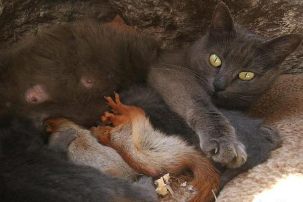 如何做好下一步經(jīng)濟(jì)工作，中央經(jīng)濟(jì)工作會(huì)議指明方向