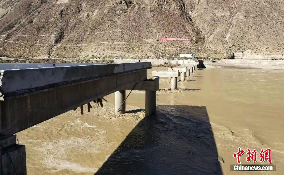 被詐騙分子利用向親友介紹犯法嗎_肌骨超聲助診肌腱、韌帶、滑膜