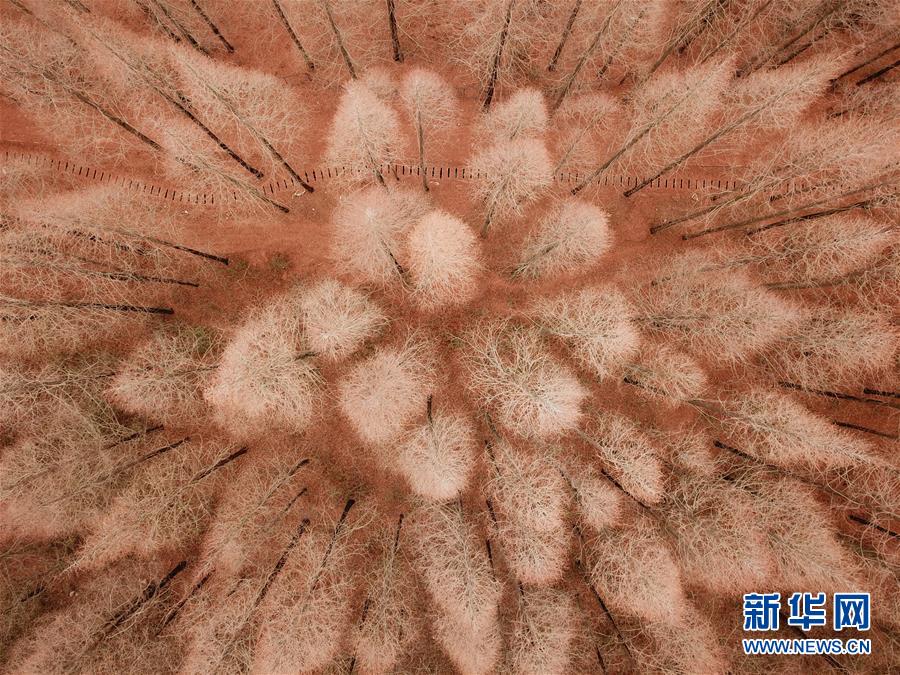 怎么上傳附件_"一家5口被害案"兇手獲死刑后上訴